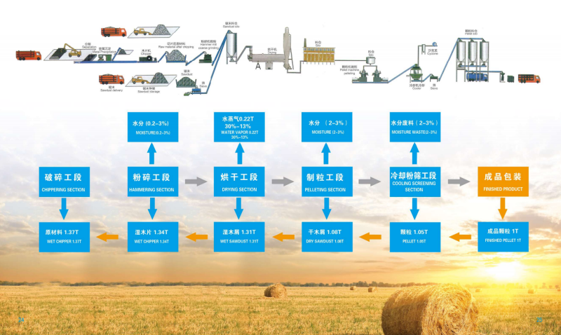 球探体育比分网宣传册_13 - 副本.png